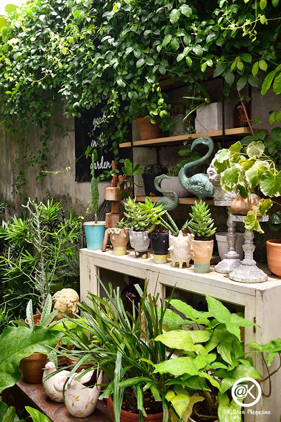 รวมไอเดียปลูกต้นไม้ในบ้าน และมุมสวนสวยเติมความสดชื่นให้กับบ้าน