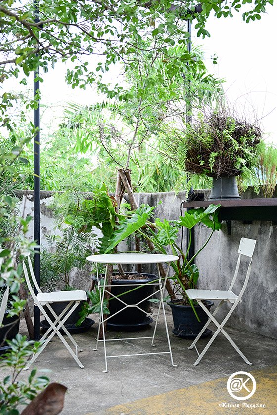 รวมไอเดียปลูกต้นไม้ในบ้าน และมุมสวนสวยเติมความสดชื่นให้กับบ้าน