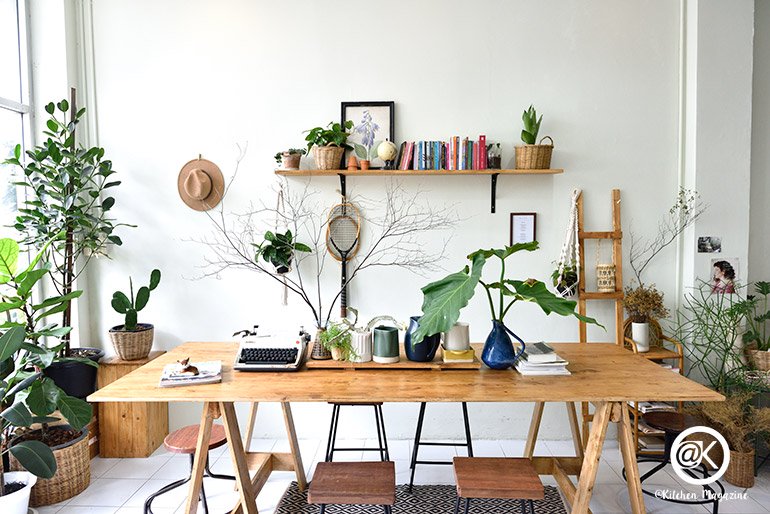 รวมไอเดียปลูกต้นไม้ในบ้าน และมุมสวนสวยเติมความสดชื่นให้กับบ้าน