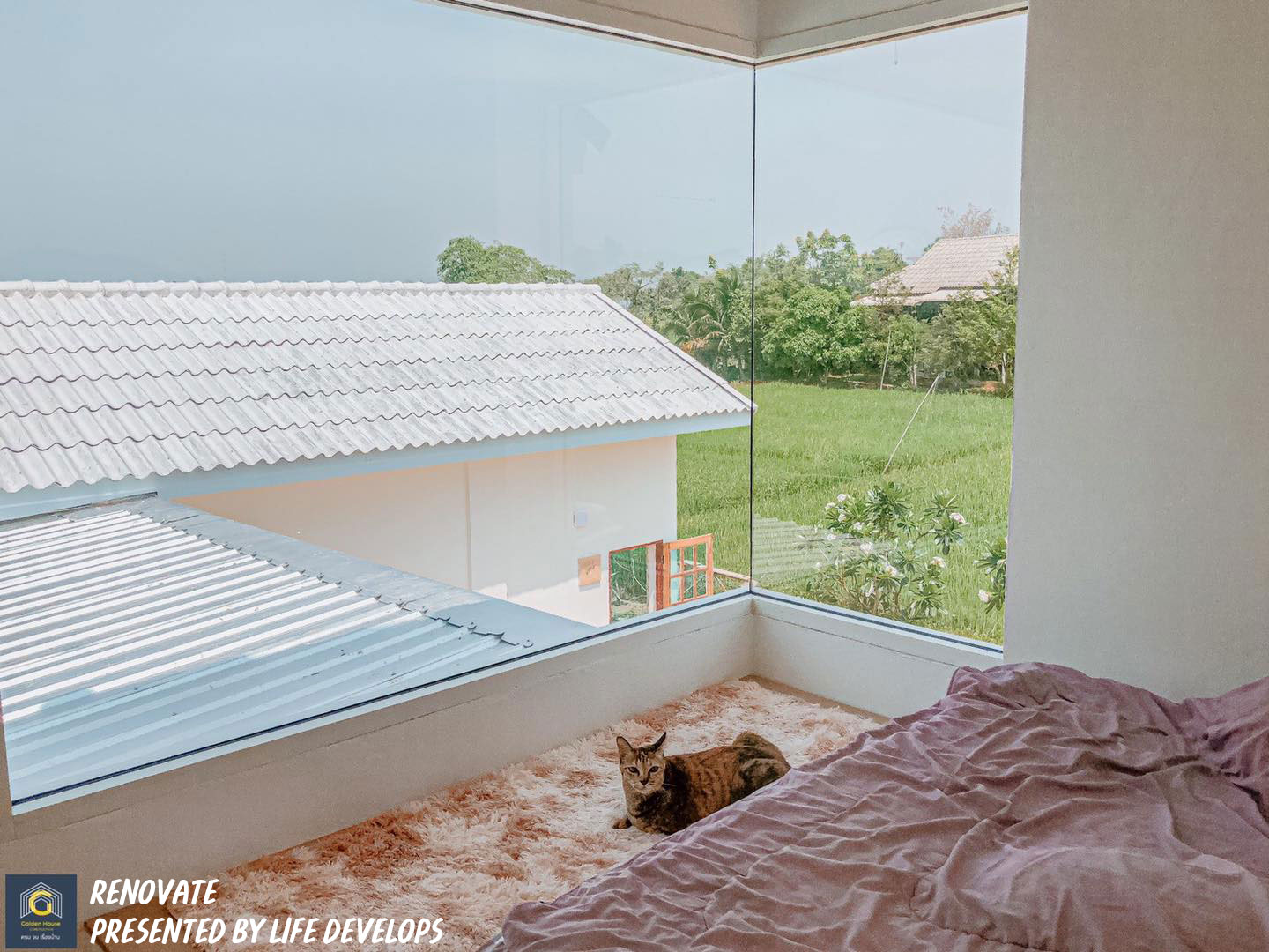 พาชม ผลงานการรีโนเวท “บ้านกลางทุ่งนา” พร้อมบรรยากาศตกแต่งภายในแบบมินิมอล