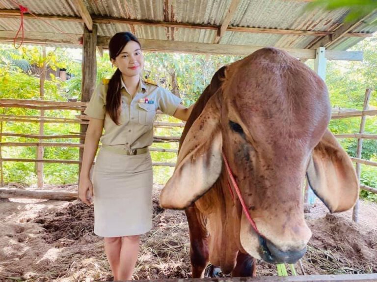 สาวโชว์ความเรียบง่ายของบ้านสวนบนพื้นที่ 1 ไร่ พร้อมกับเลี้ยงวัว 6 ตัว ความสุขง่ายๆ ที่หาได้จากในบ้าน