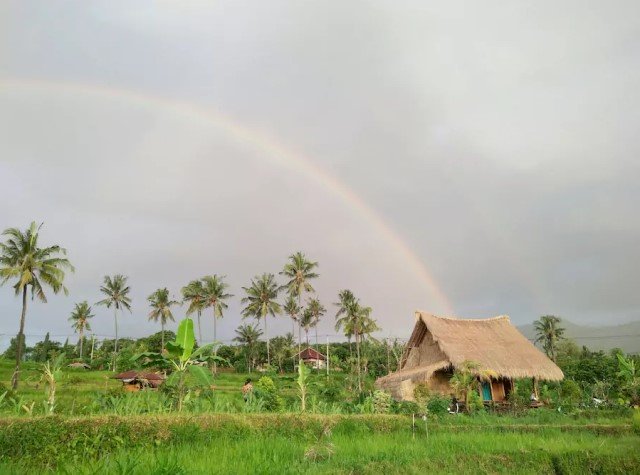 บ้านกระท่อมปลายนา วัสดุจากธรรมชาติ ตกแต่งงานไม้ ผสมผสานปูนเปลือย