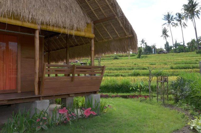 บ้านกระท่อมปลายนา วัสดุจากธรรมชาติ ตกแต่งงานไม้ ผสมผสานปูนเปลือย
