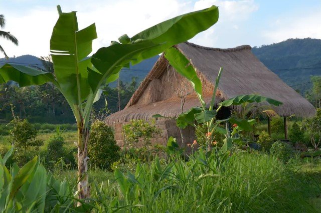 บ้านกระท่อมปลายนา วัสดุจากธรรมชาติ ตกแต่งงานไม้ ผสมผสานปูนเปลือย