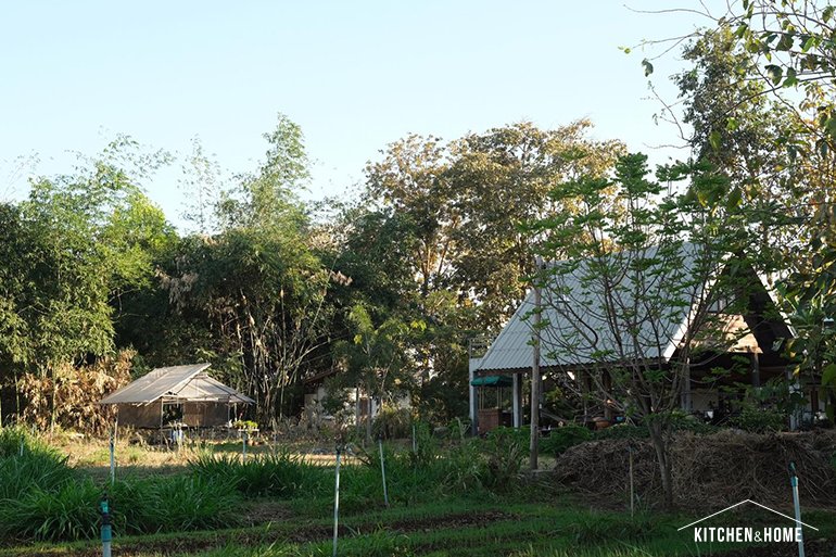 Farm Behind the Barn ฟาร์มของเราอยู่หลังฉาง