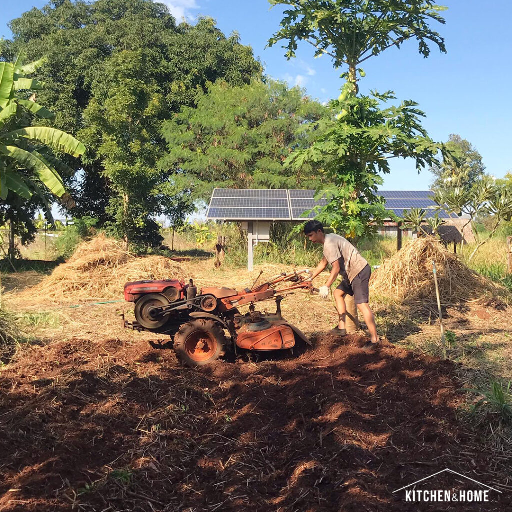 Farm Behind the Barn ฟาร์มของเราอยู่หลังฉาง