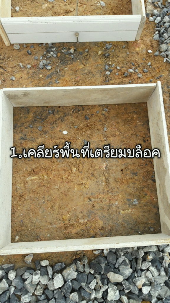 DIY วิธีทำทางเดินในสวนแบบง่ายๆ สวยเหมือนจ้างช่าง แต่ทำได้ด้วยตัวเอง