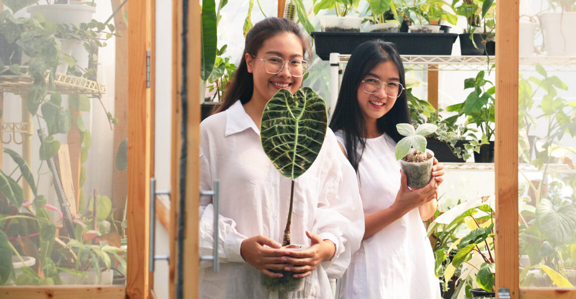 Sestraroom จากไอจีที่มีไว้อวดต้นไม้ จนกลายเป็นขายจริงจัง