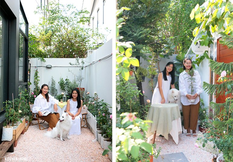 Sestraroom จากไอจีที่มีไว้อวดต้นไม้ จนกลายเป็นขายจริงจัง