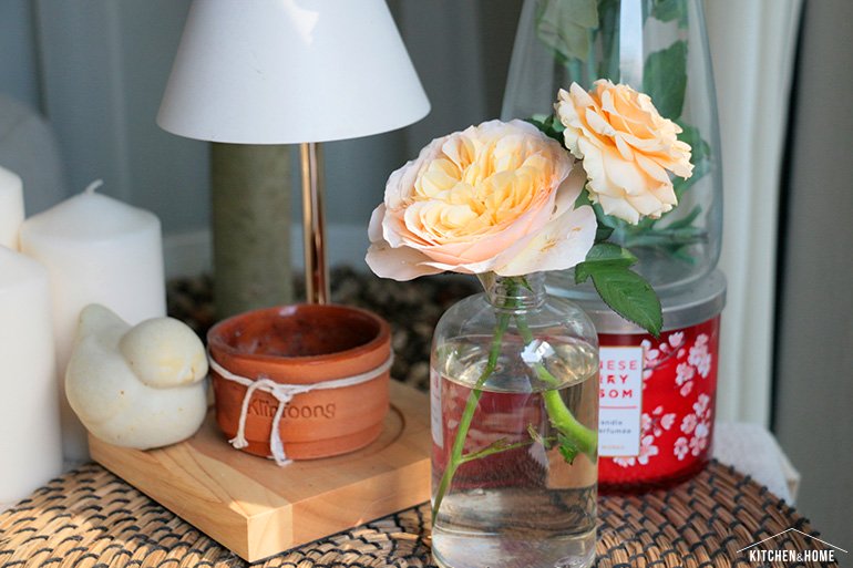 Sestraroom จากไอจีที่มีไว้อวดต้นไม้ จนกลายเป็นขายจริงจัง