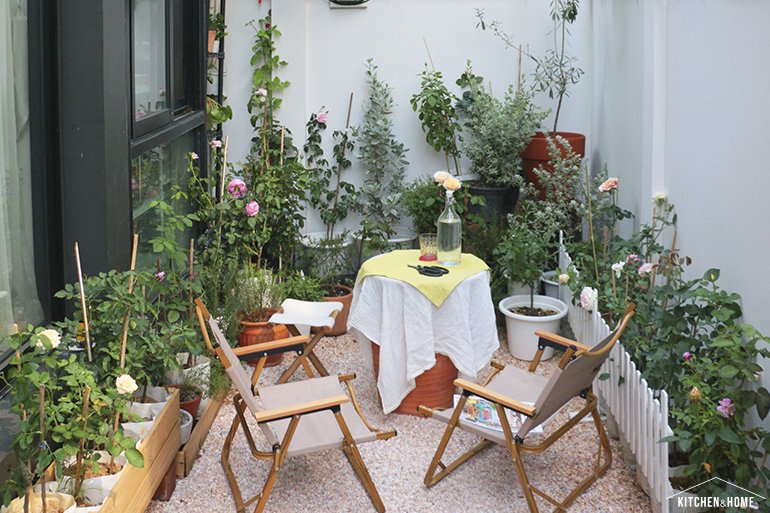 Sestraroom จากไอจีที่มีไว้อวดต้นไม้ จนกลายเป็นขายจริงจัง