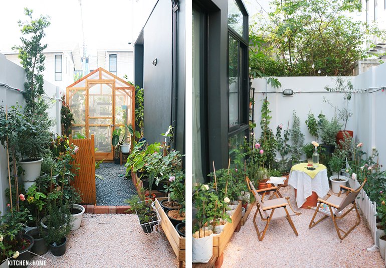 Sestraroom จากไอจีที่มีไว้อวดต้นไม้ จนกลายเป็นขายจริงจัง