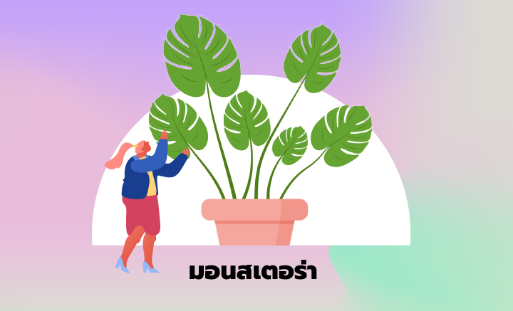 แบบทดสอบจิตวิทยา ต้นไม้ที่เลือกปลูก บ่งบอกนิสัยที่โดดเด่นของคุณ