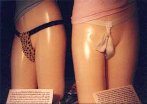 ผ้าอนามัย