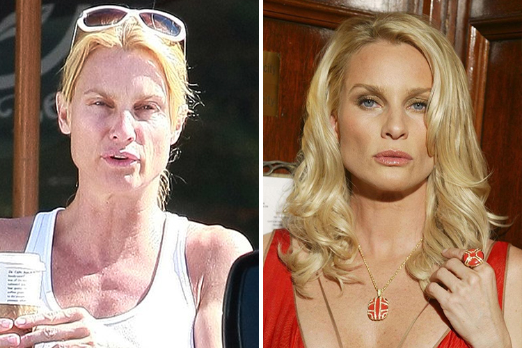 Nicollette Sheridan