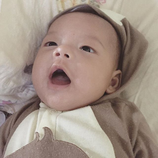 ฝ้าย แฟน บอย